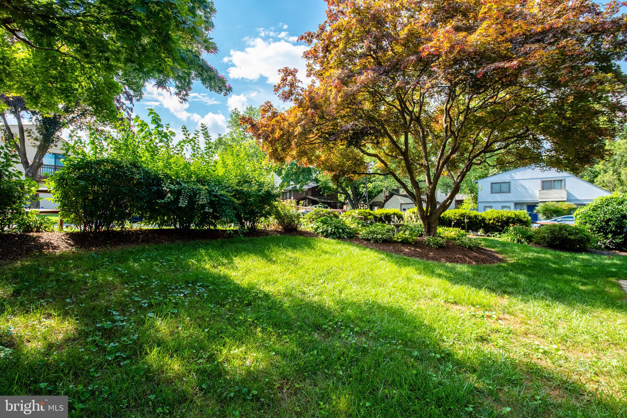 6356 11th Road North Arlington, VA 22205 - Photo 25 of 27 Gallery Image 25