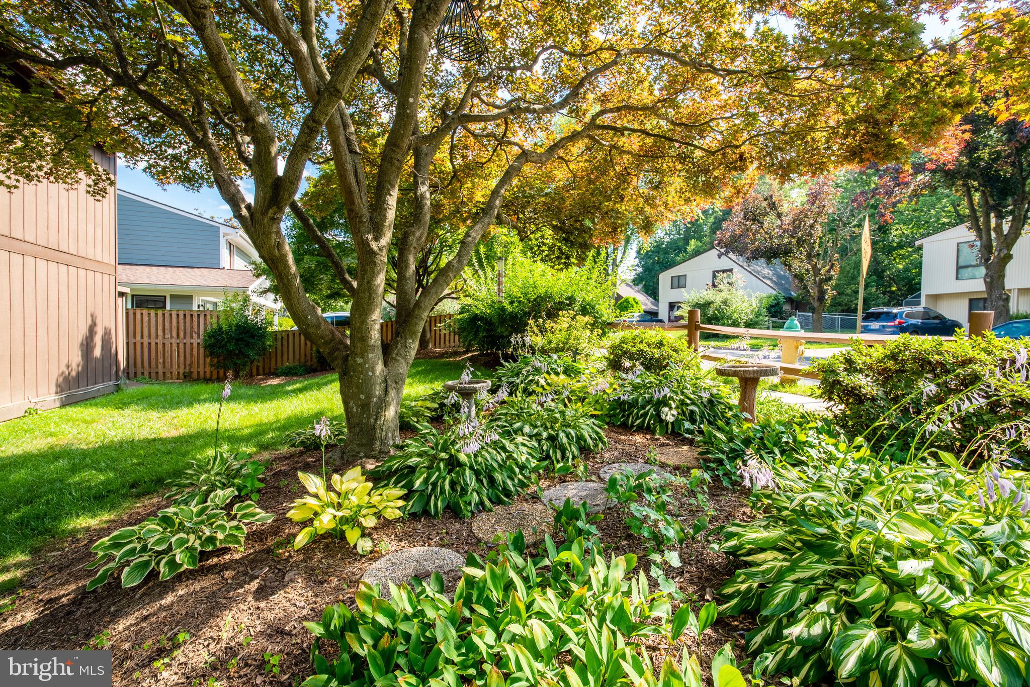 6356 11th Road North Arlington, VA 22205 - Photo 26 of 27 Gallery Image 26