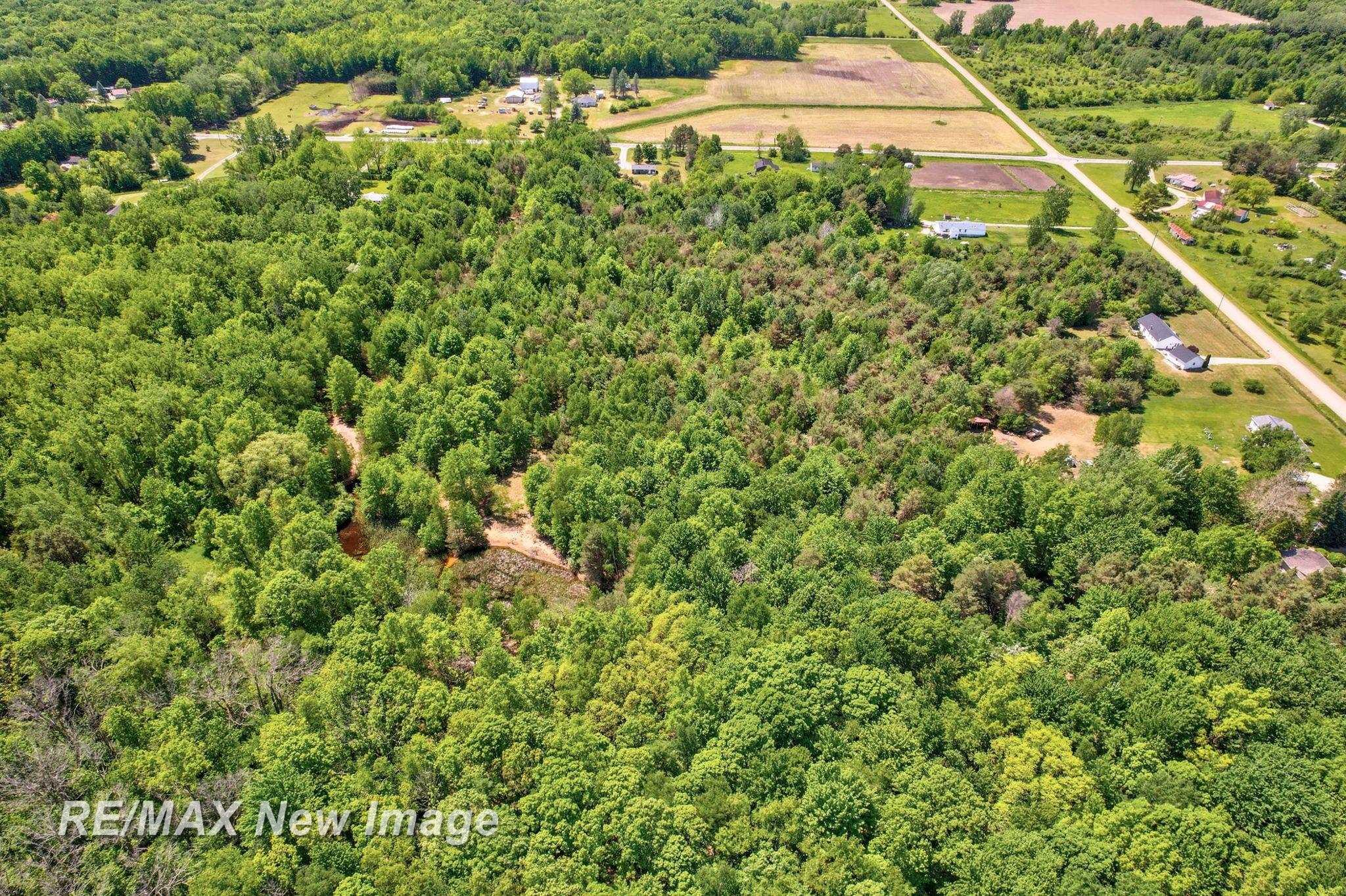 15905 West Burt Road Chesaning, MI 48616 - Photo 60 of 76 50143281-03df145c-a7c9-4dad-b361-9ed70669ce73.JPG
