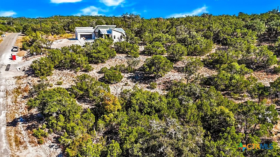 2900 Rocky Ridge Loop Canyon Lake, TX 78133 - Photo 12 of 21 a view of a city