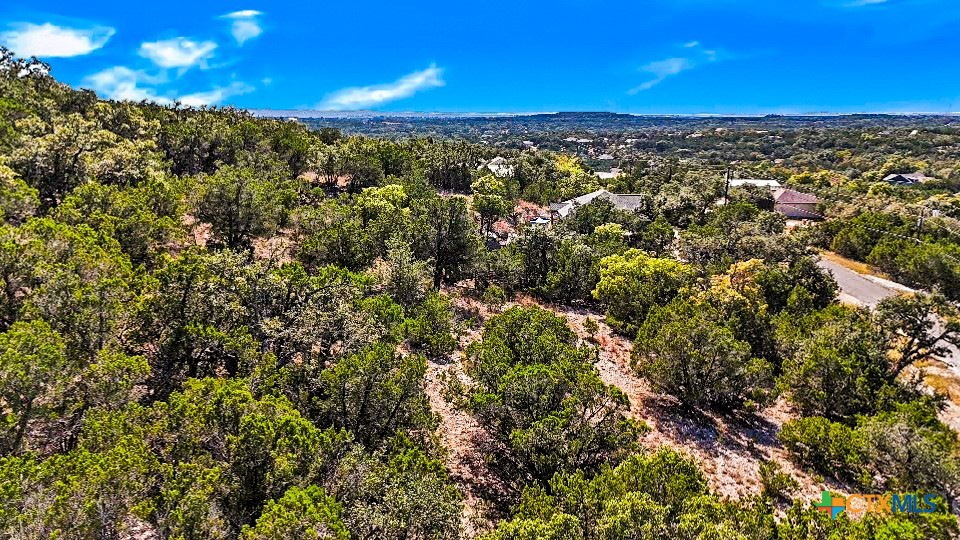 2900 Rocky Ridge Loop Canyon Lake, TX 78133 - Photo 19 of 21 a view of a city