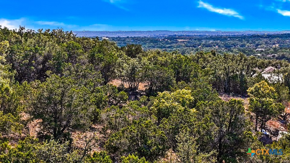 2900 Rocky Ridge Loop Canyon Lake, TX 78133 - Photo 20 of 21 a view of a city with an ocean