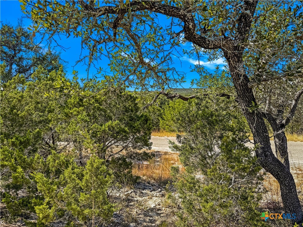 2900 Rocky Ridge Loop Canyon Lake, TX 78133 - Photo 2 of 21 a view of a tree