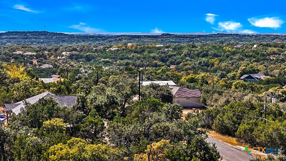 2900 Rocky Ridge Loop Canyon Lake, TX 78133 - Photo 21 of 21 a view of a city