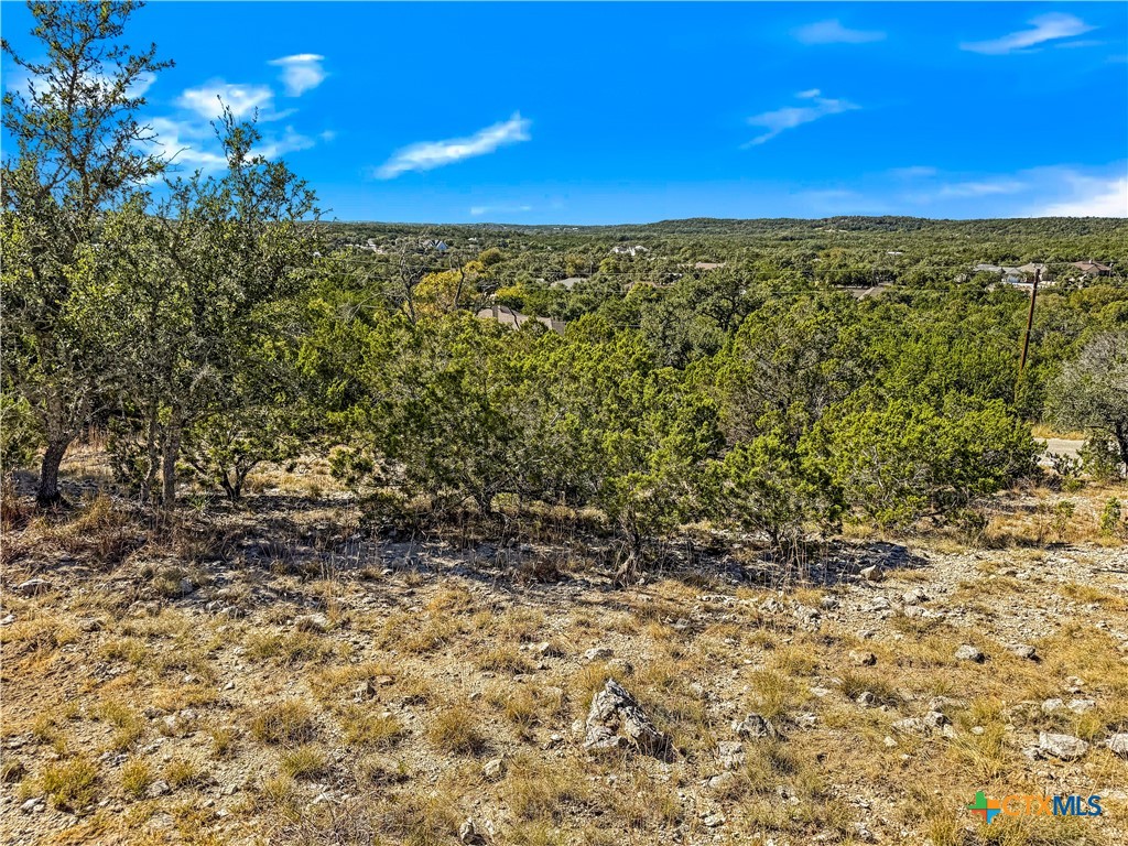 2900 Rocky Ridge Loop Canyon Lake, TX 78133 - Photo 6 of 21 a view of a city