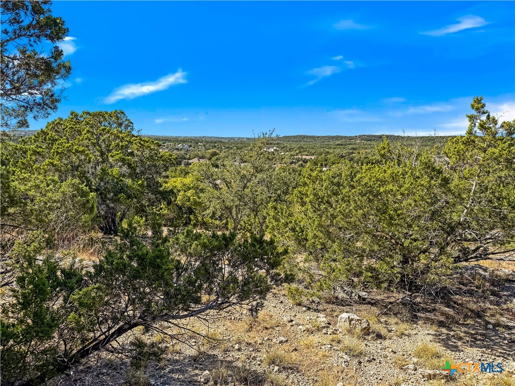 2900 Rocky Ridge Loop Canyon Lake, TX 78133 - Photo 7 of 21 a view of a large building with lots of green space