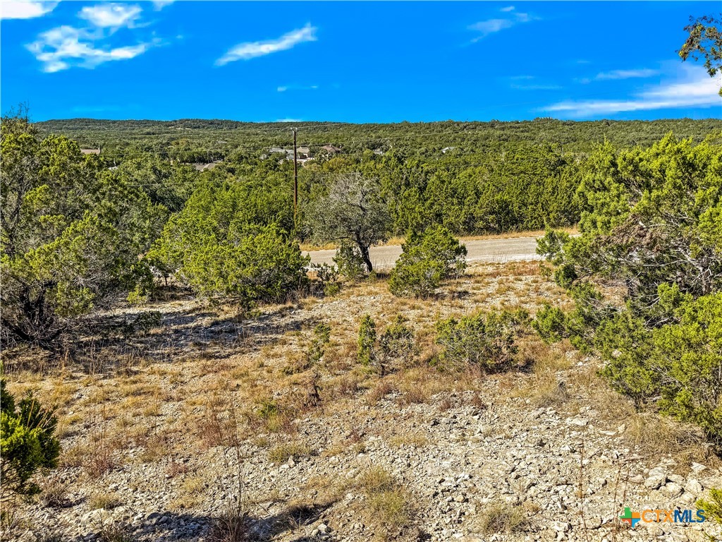 2900 Rocky Ridge Loop Canyon Lake, TX 78133 - Photo 9 of 21 a view of ocean