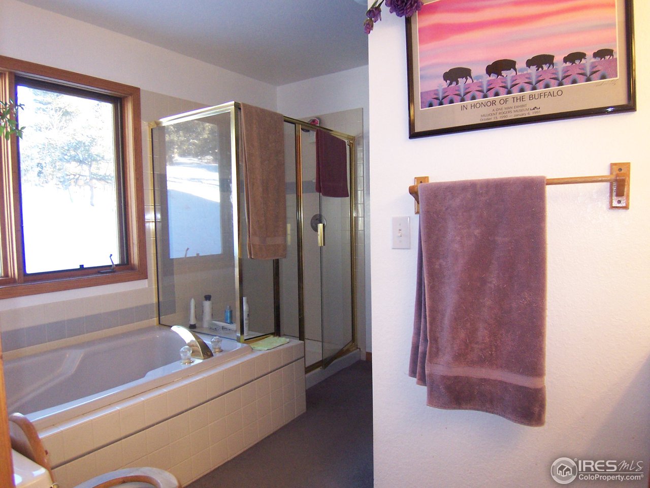 6500 Magnolia Road Nederland, CO 80466 - Photo 13 of 21 Gallery Image 13