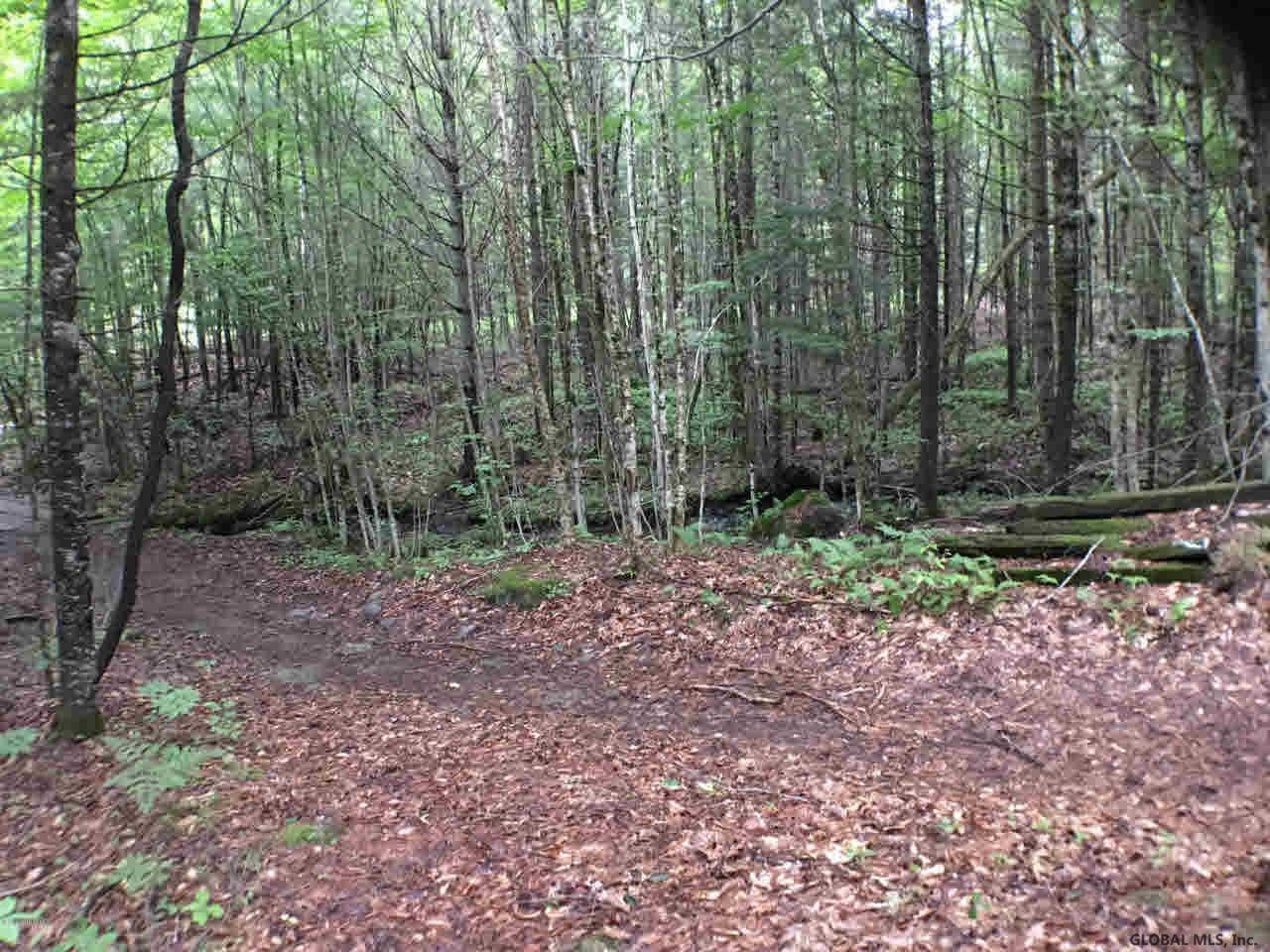 326 Johnson Road Horicon, NY 12808 - Photo 25 of 30 Photo 25