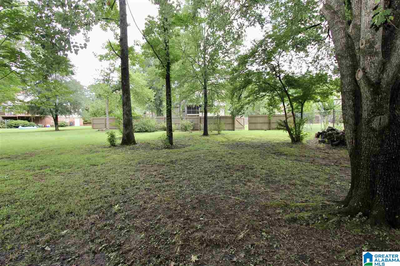 4509 Little Ridge Drive Birmingham, AL 35242 - Photo 22 of 30
