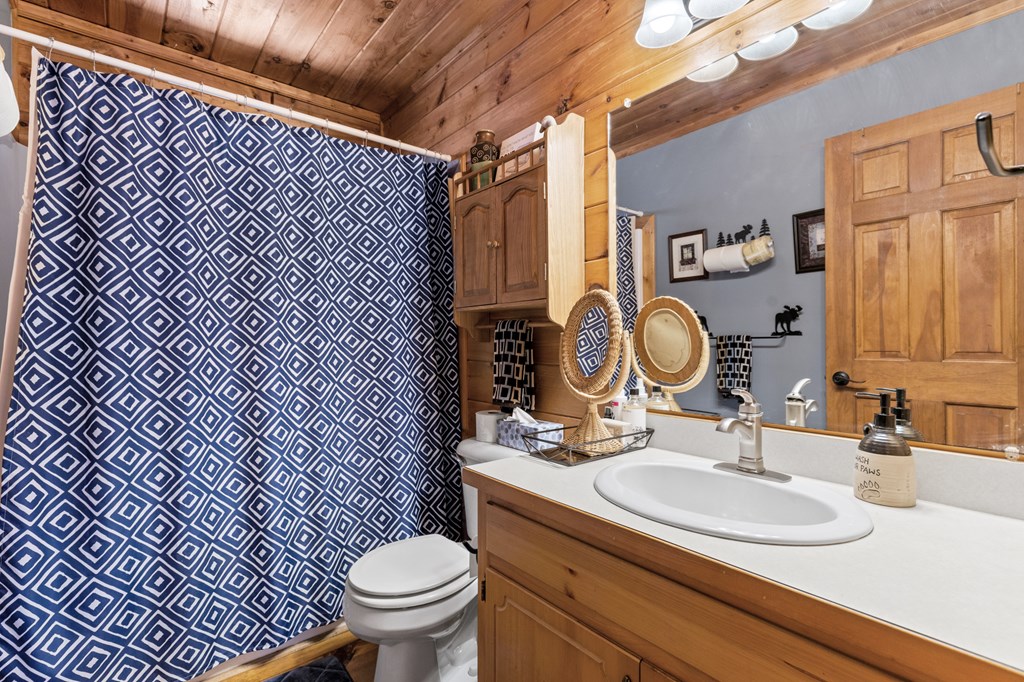 267 Granny Branch Drive Blue Ridge, GA 30513 - Photo 13 of 30 a bathroom with a sink toilet and shower