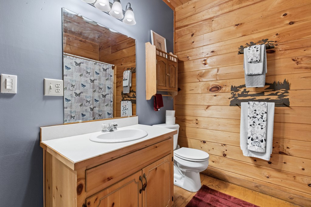 267 Granny Branch Drive Blue Ridge, GA 30513 - Photo 25 of 30 a bathroom with a sink toilet and shower