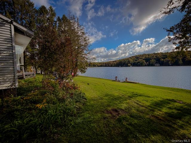 274 Crowley Road Roscoe, NY 12776 - Photo 5 of 29 Expansive waterfront lawn featuring mature trees and established landscaping