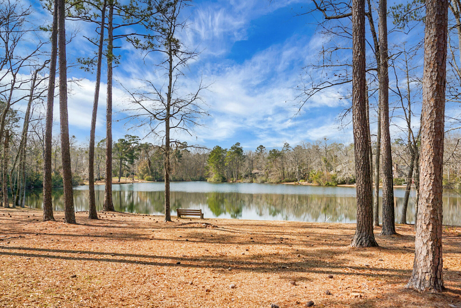 1 Santee Lakes Court Elloree, SC 29047 - Photo 64 of 79