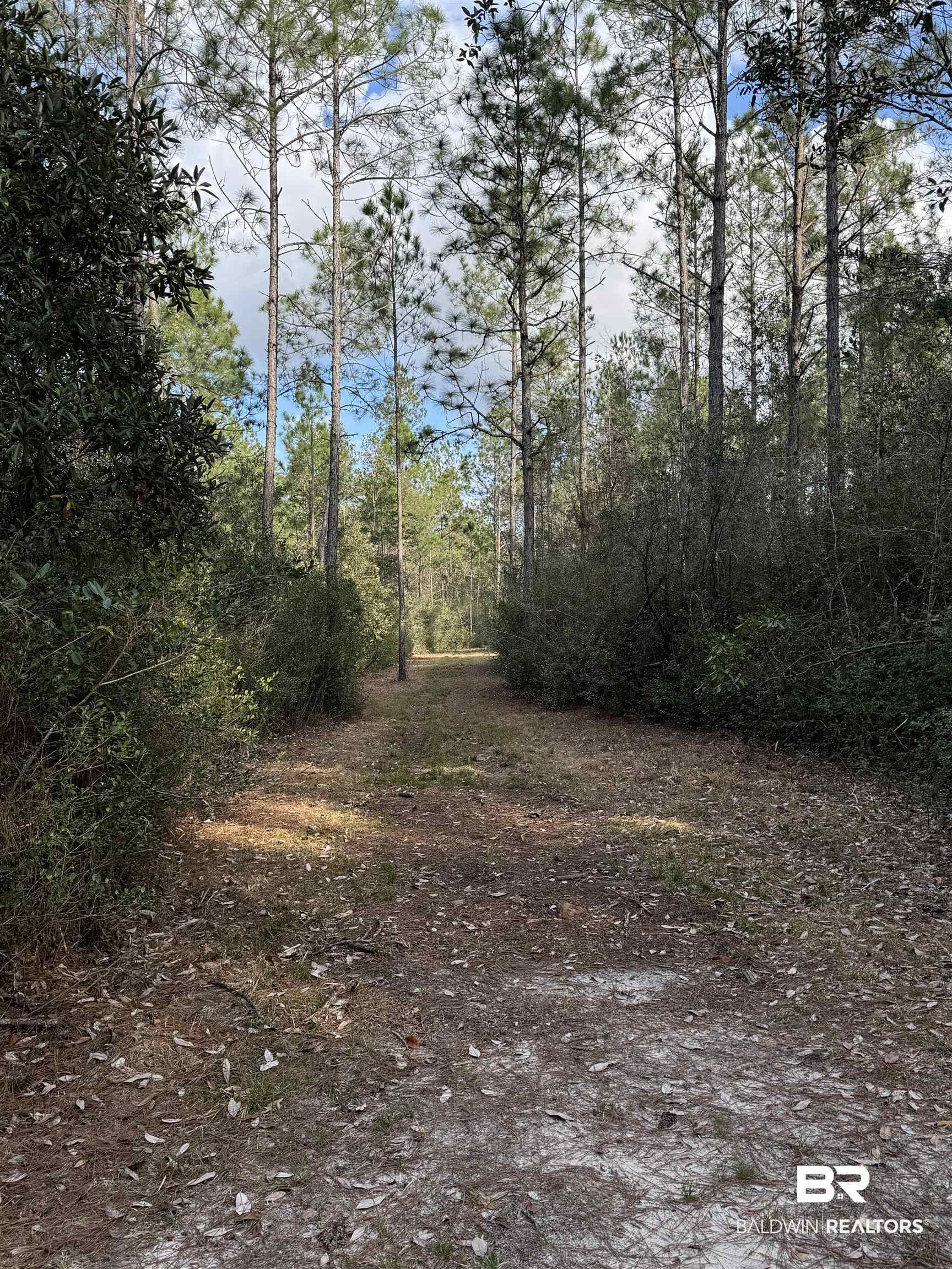 51235 Phillipsville Road Bay Minette, AL 36507 - Photo 59 of 63 View of undeveloped land