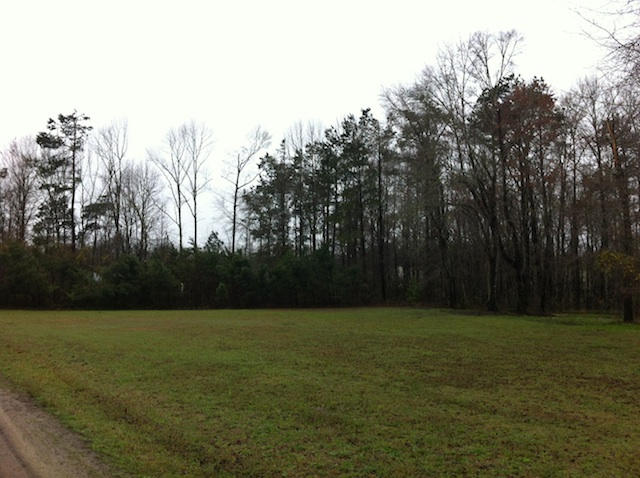 685 Fourwind Road, Unit A Holly Hill, SC 29059 - Photo 2 of 2 685 FOURWIND2