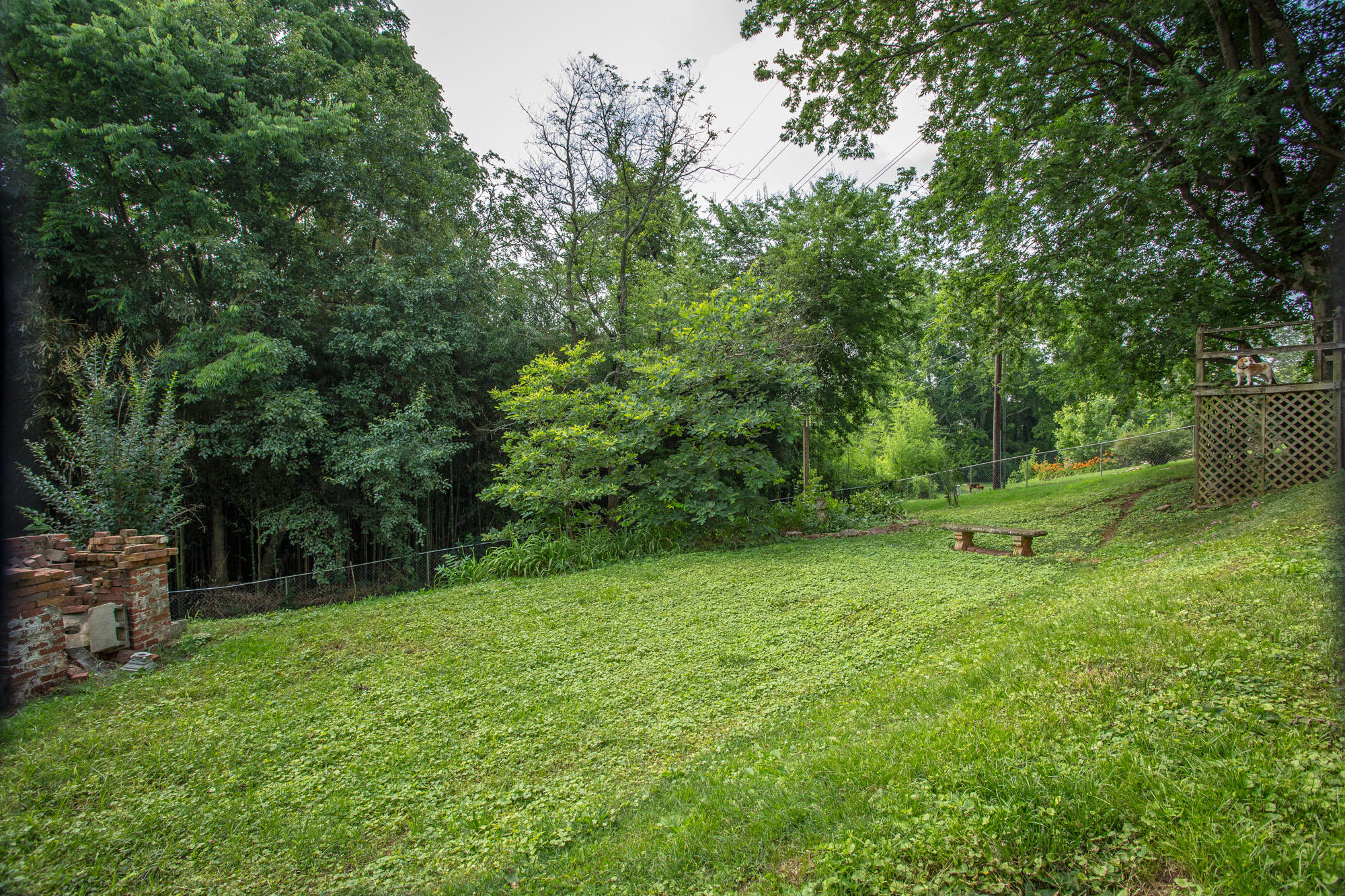 94 South Crest Road Chattanooga, TN 37404 - Photo 26 of 70 94 S. Crest-26