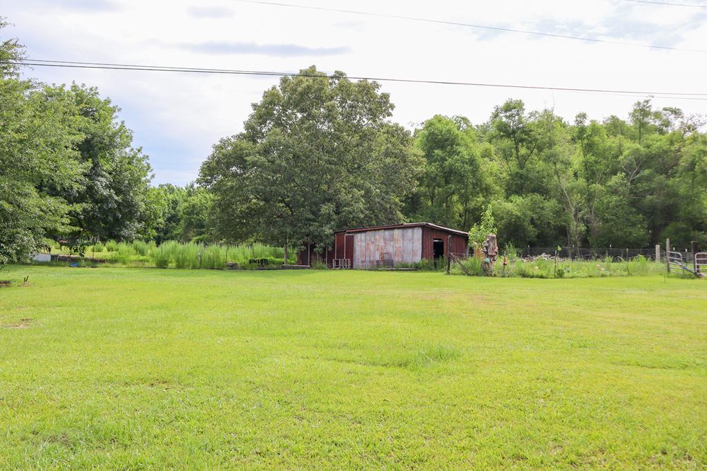 0 Watson Bridge Road Dothan, AL 36303 - Photo 9 of 9