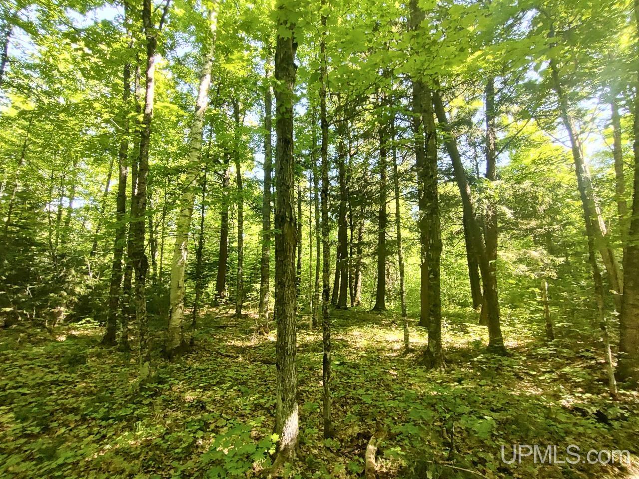 184 Marten Lake Road Iron River, MI 49935 - Photo 16 of 25