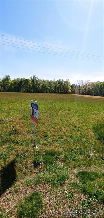 7170 Power Line Road Gibsonville, NC 27249 - Photo 2 of 4 Gallery Image 2
