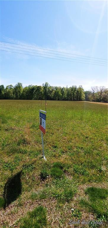 7170 Power Line Road Gibsonville, NC 27249 - Photo 3 of 4 Gallery Image 3