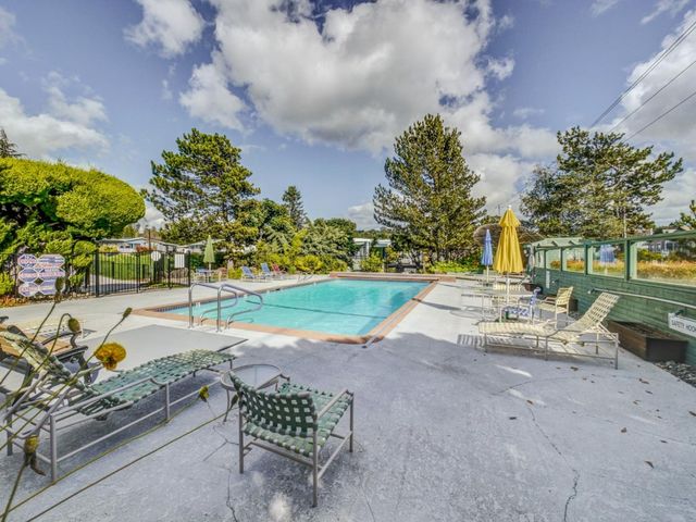 a view of a park with many trees