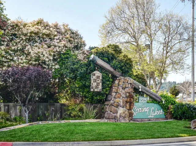 a view of a wooden house with a yard and large trees