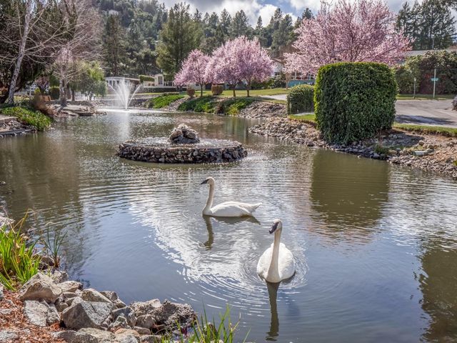a lake view with a lake view