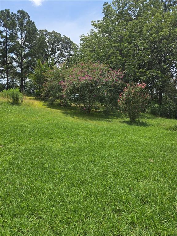 130 Cherry Drive Many, LA 71449 - Photo 8 of 12