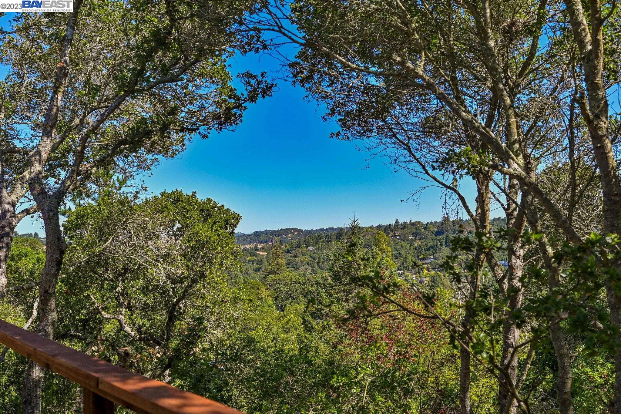 Undisclosed Address Orinda, CA 94563 - Photo 21 of 32 a view of a forest with a tree