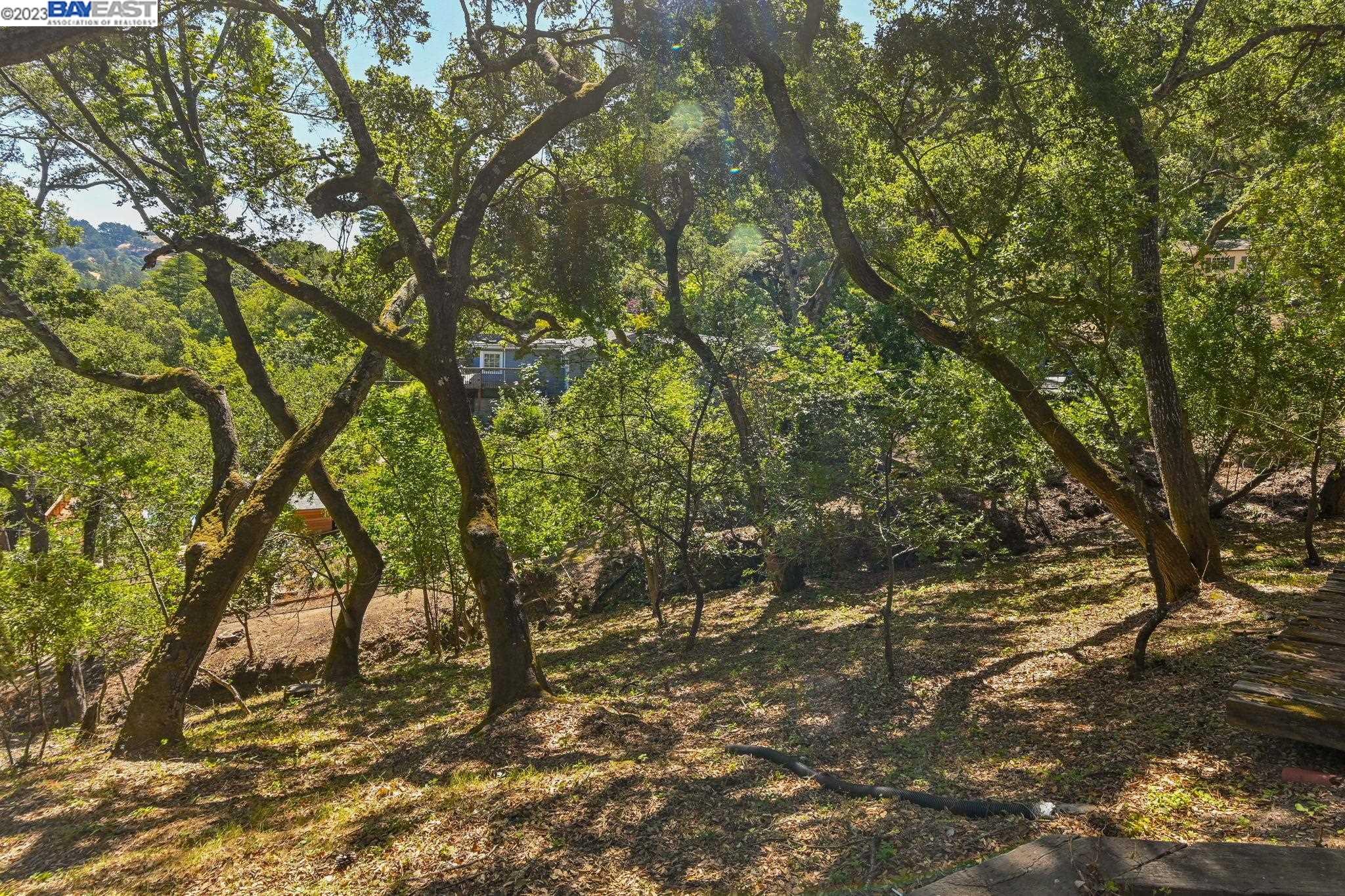 Undisclosed Address Orinda, CA 94563 - Photo 25 of 32 a view of outdoor space and a yard