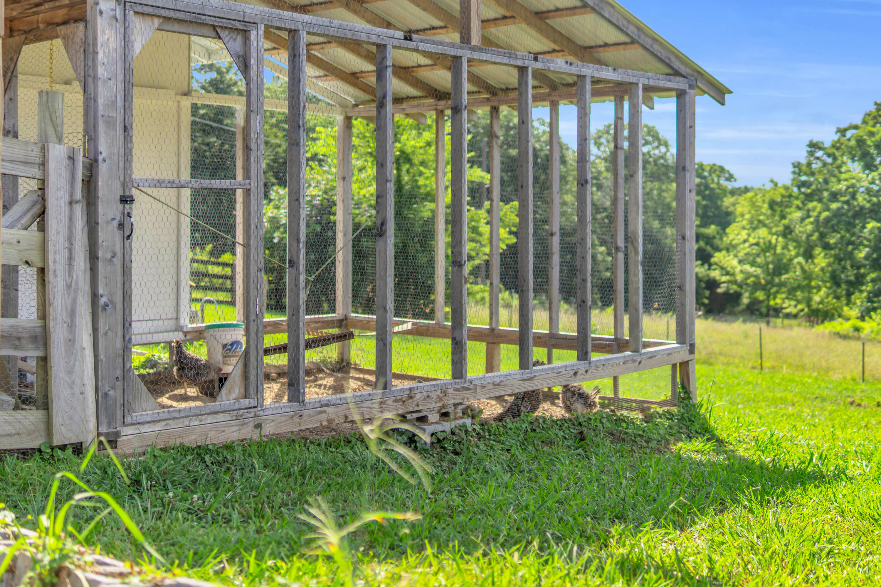720 Miller Road Signal Mountain, TN 37377 - Photo 50 of 59 59_720 miller rd-61