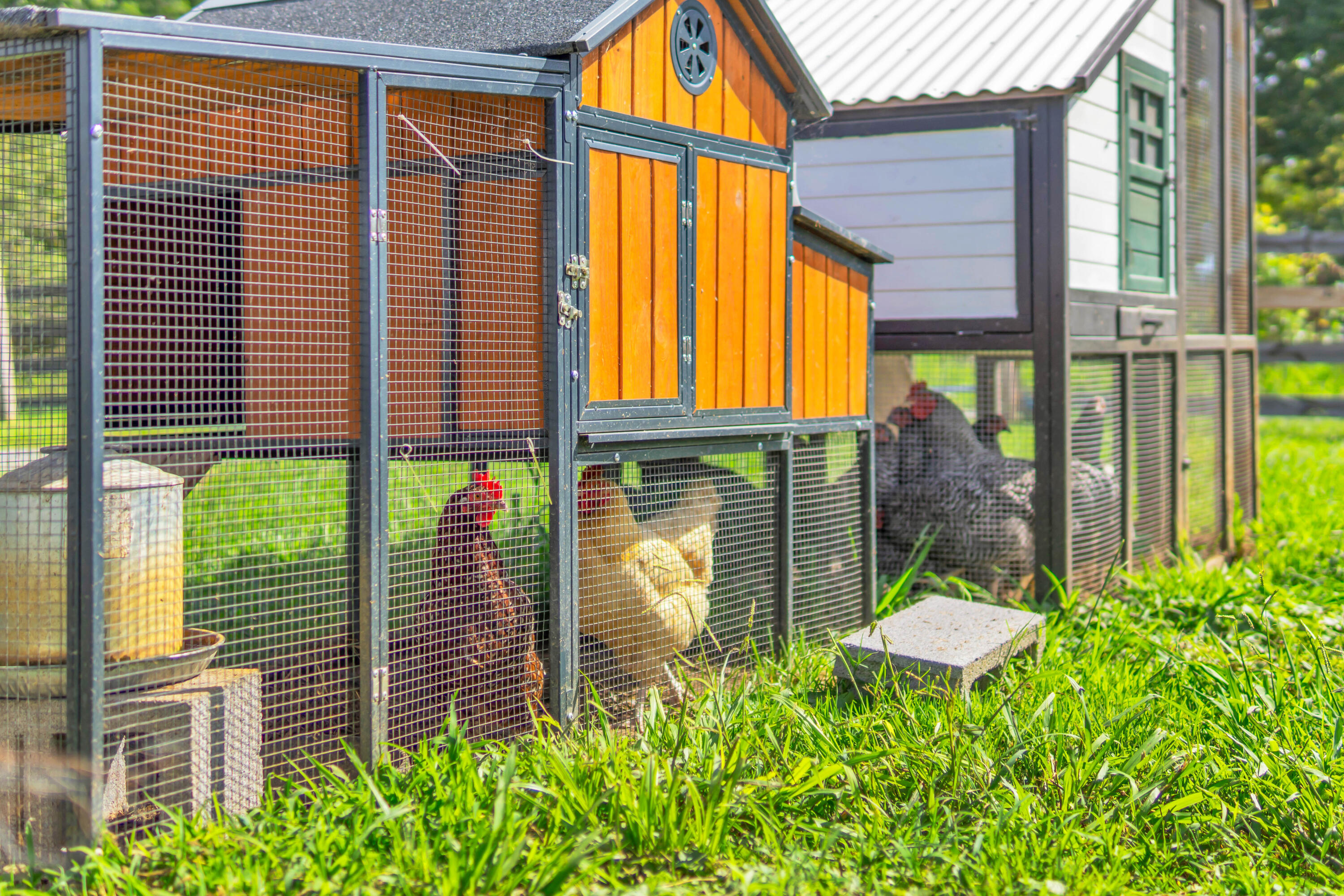 720 Miller Road Signal Mountain, TN 37377 - Photo 51 of 59 60_720 miller rd-62