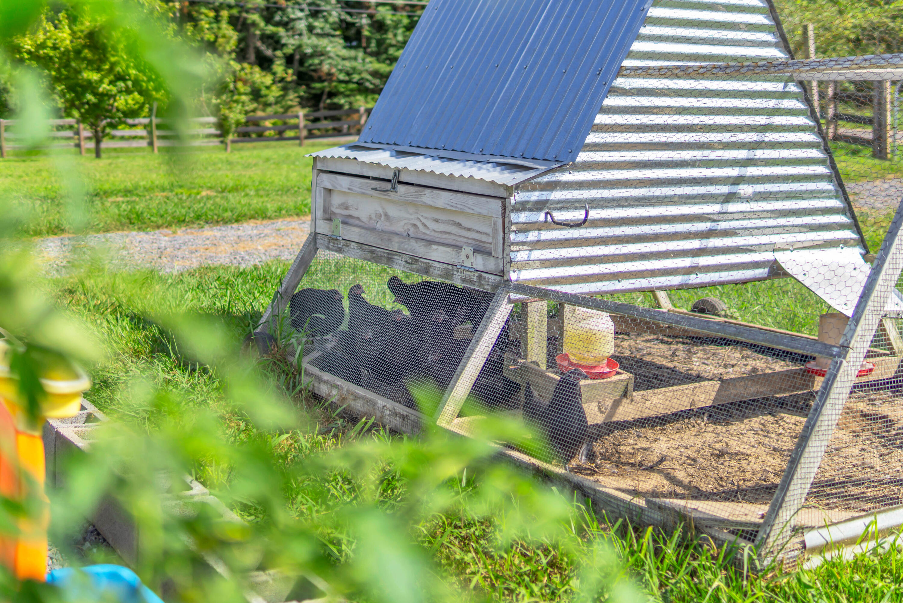720 Miller Road Signal Mountain, TN 37377 - Photo 52 of 59 61_720 miller rd-63