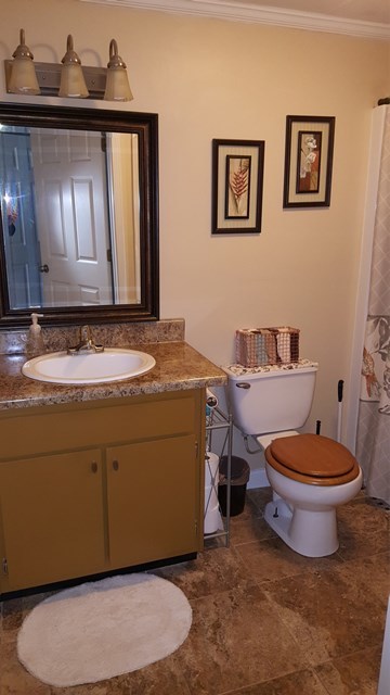 274-272 Dye Road Gray, GA 31032 - Photo 7 of 13 a bathroom with a granite countertop sink and a mirror