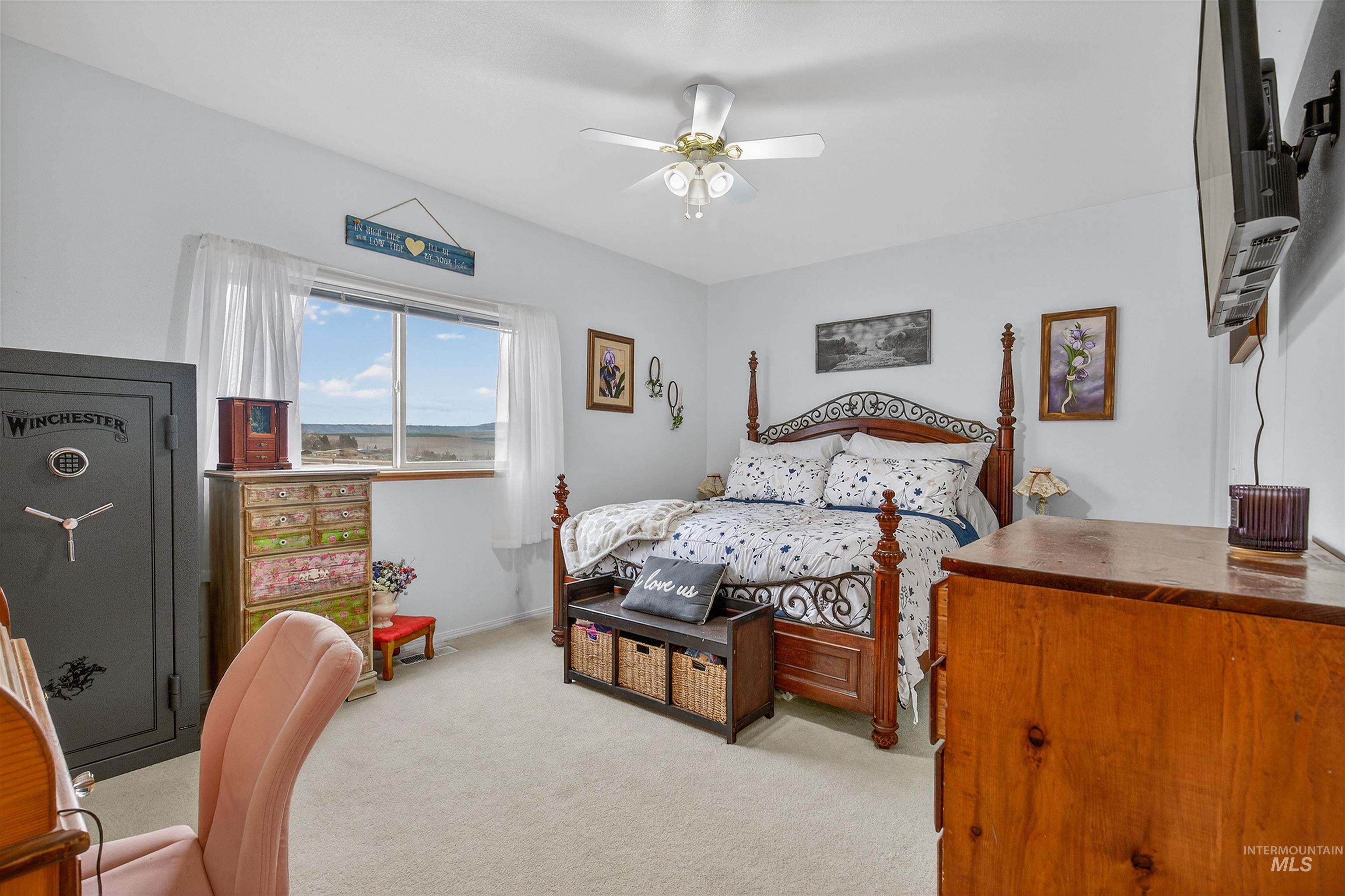 3737 19th Street Lewiston, ID 83501 - Photo 24 of 40 Bedroom with light colored carpet and a ceiling fan