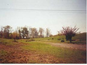 500 Martin Road, Unit 8 Limestone, TN 37681 - Photo 1 of 1 Photo 1