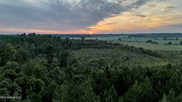 $176,640 | Airport Road, Newton, MS 39345