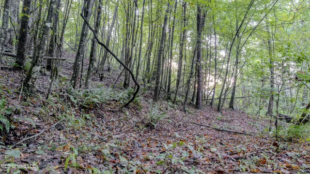 $176,640 | Airport Road, Newton, MS 39345