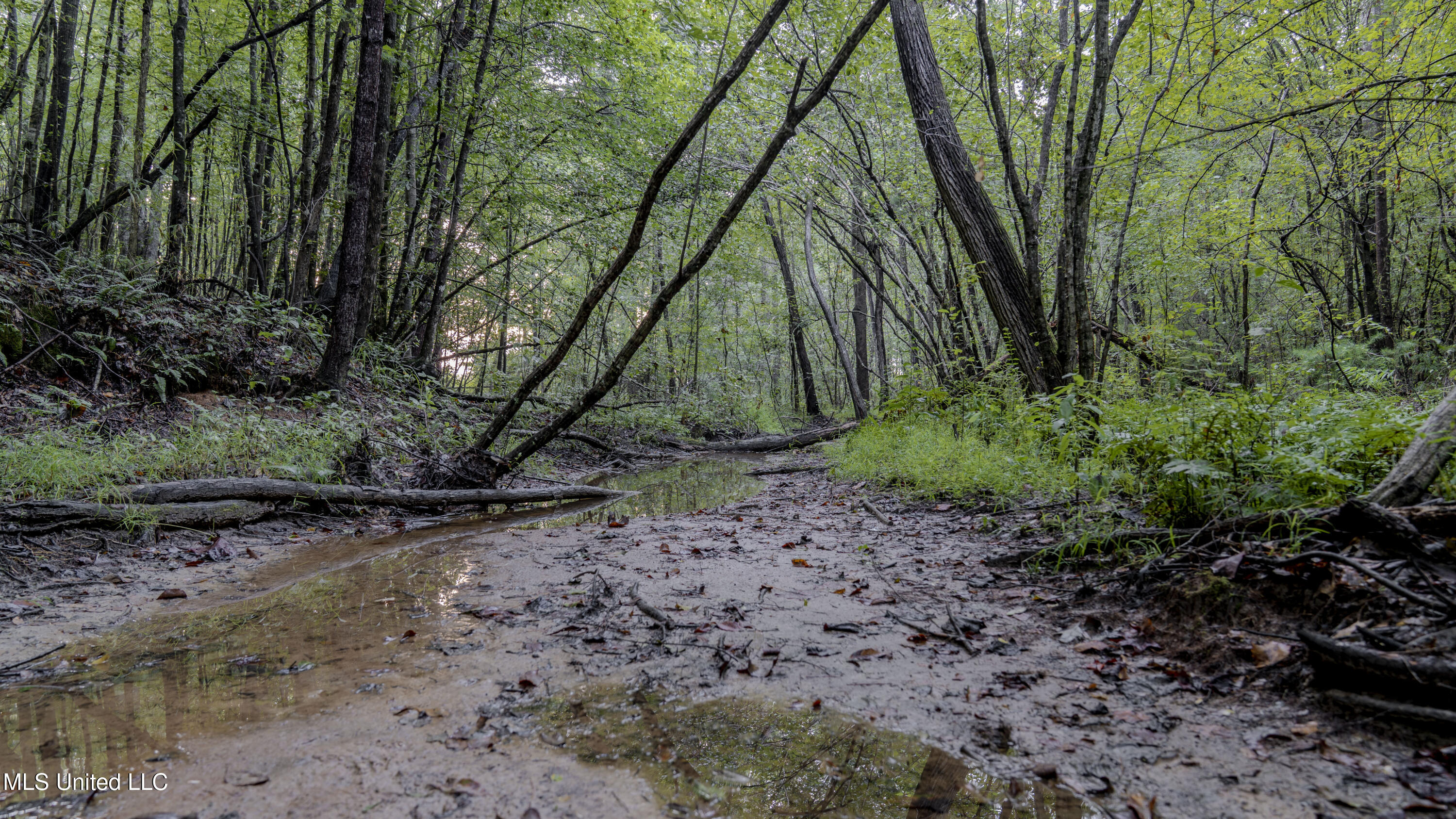 Airport Road Newton, MS 39345 - Photo 14 of 50 15MB-MLS Site-39