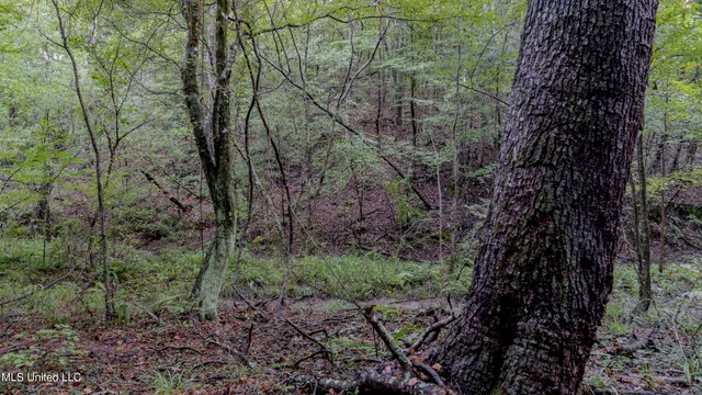 $176,640 | Airport Road, Newton, MS 39345