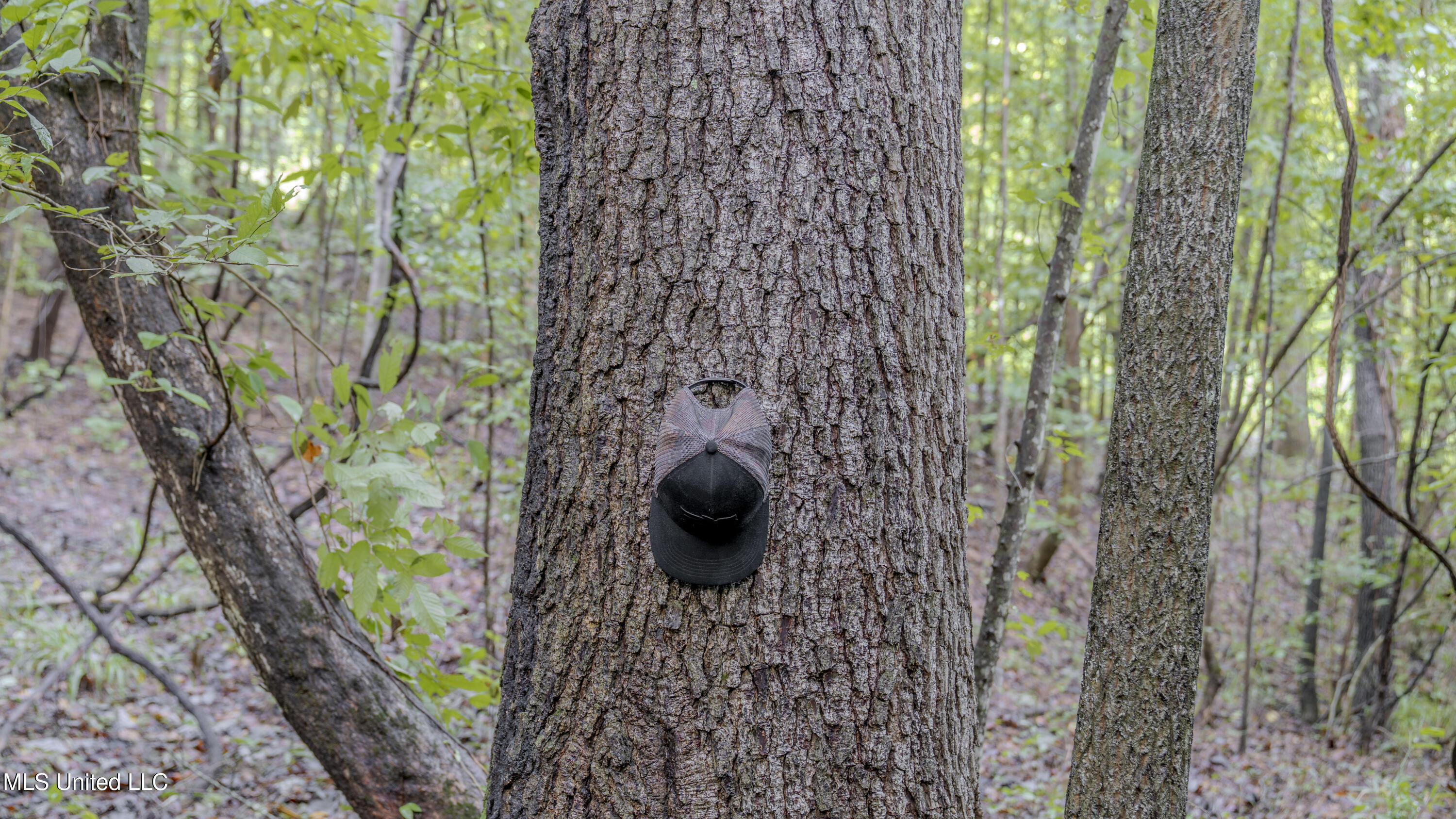 Airport Road Newton, MS 39345 - Photo 19 of 50 15MB-MLS Site-32