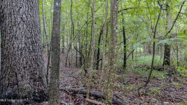 $176,640 | Airport Road, Newton, MS 39345