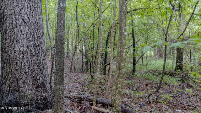 $176,640 | Airport Road, Newton, MS 39345