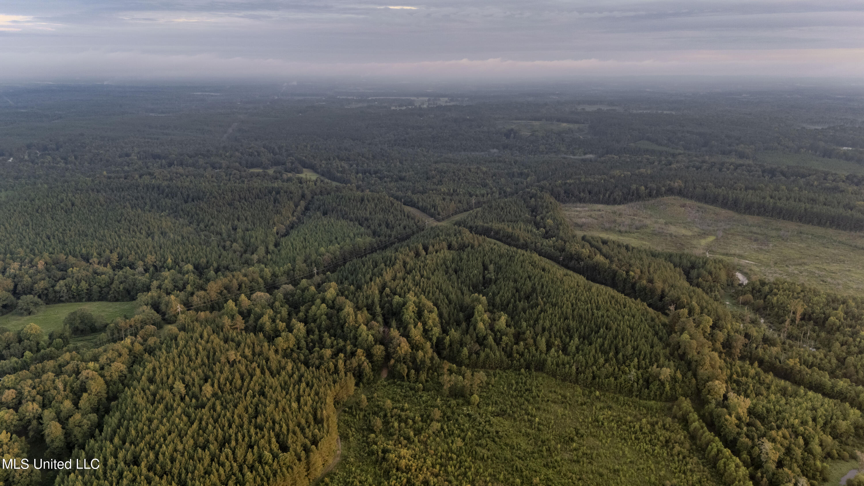 Airport Road Newton, MS 39345 - Photo 23 of 50 15MB-MLS Site-30