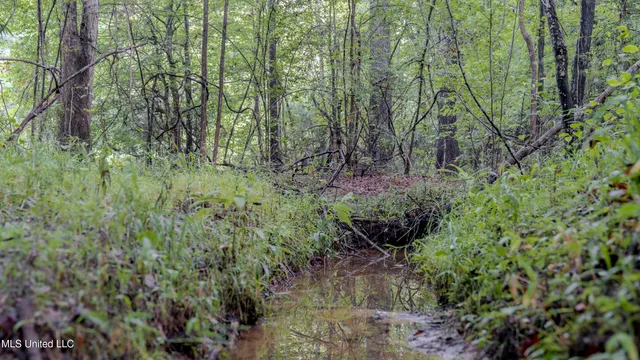 $176,640 | Airport Road, Newton, MS 39345