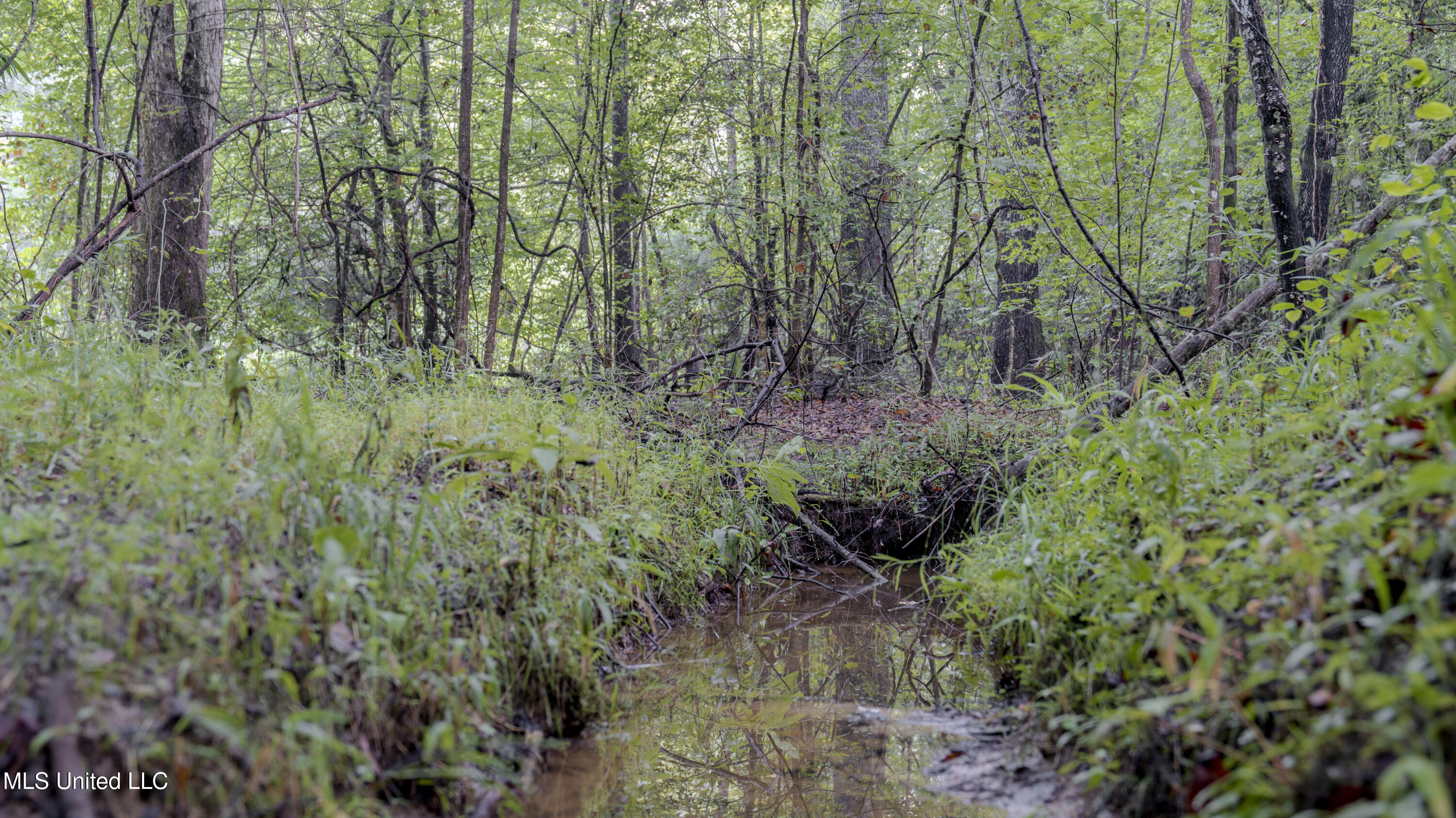Airport Road Newton, MS 39345 - Photo 24 of 50 15MB-MLS Site-29