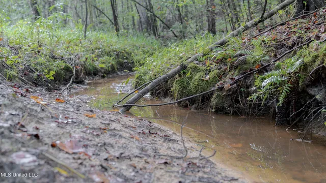 $176,640 | Airport Road, Newton, MS 39345