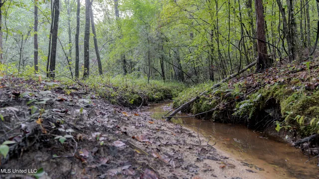 $176,640 | Airport Road, Newton, MS 39345