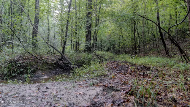 $176,640 | Airport Road, Newton, MS 39345